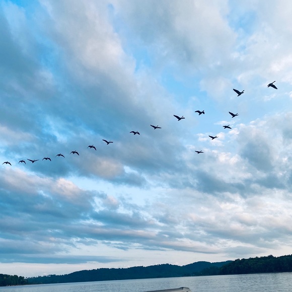 Meet your Posher, Tara - Picture 1 of 2